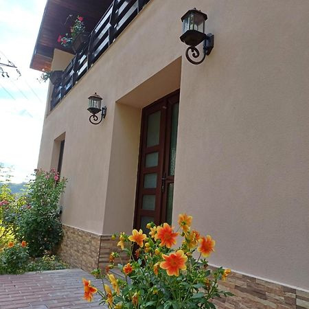 Апартаменты Casa Radu Новач-Стрэйни Экстерьер фото