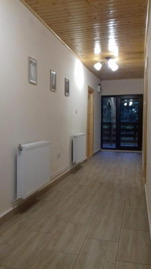 Апартаменты Casa Radu Новач-Стрэйни Экстерьер фото