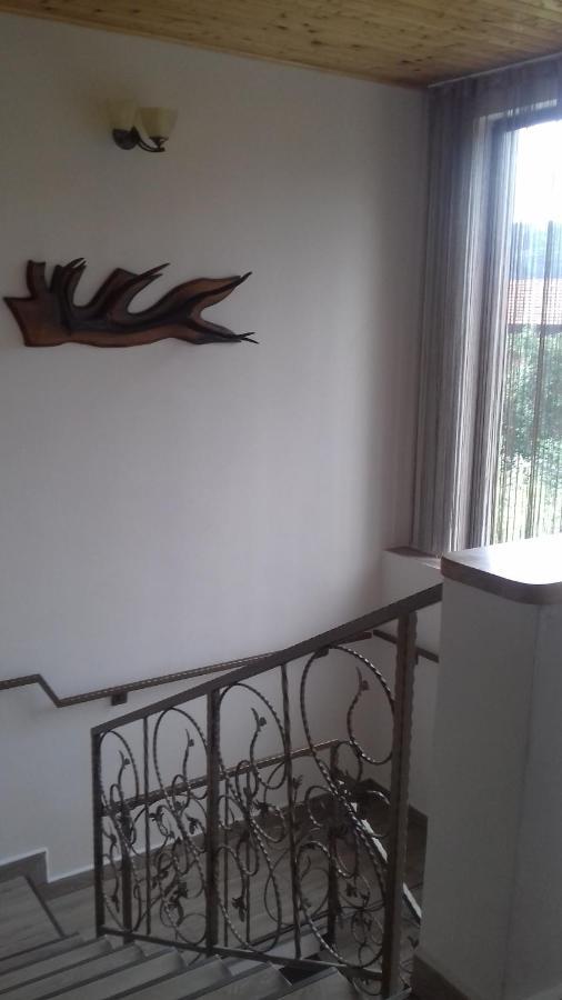 Апартаменты Casa Radu Новач-Стрэйни Экстерьер фото