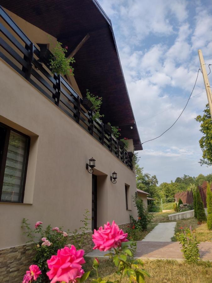 Апартаменты Casa Radu Новач-Стрэйни Экстерьер фото
