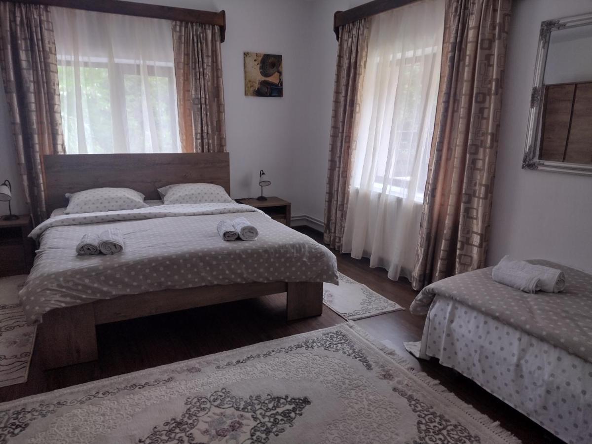 Апартаменты Casa Radu Новач-Стрэйни Экстерьер фото