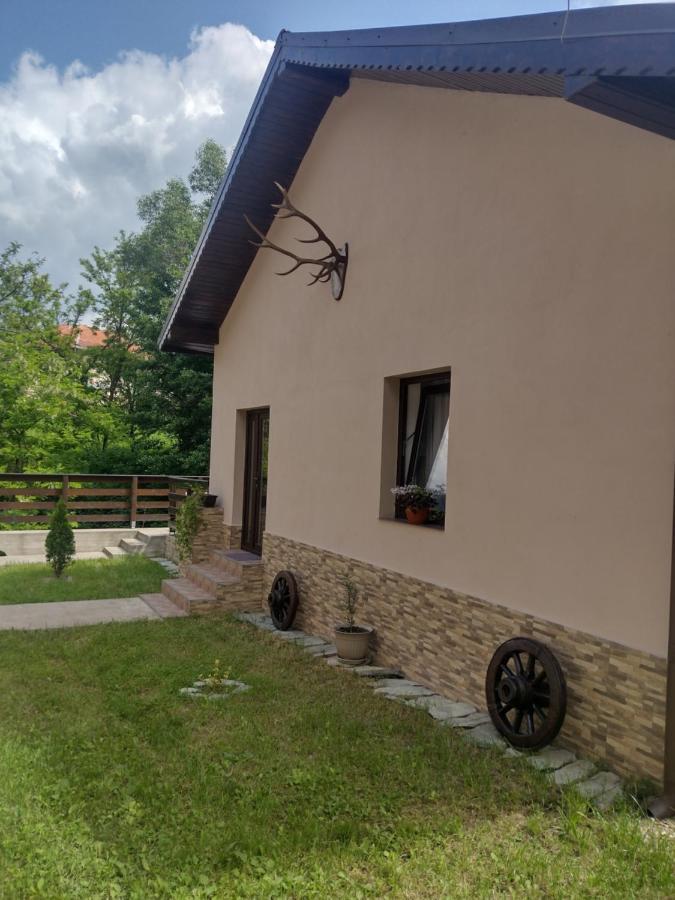 Апартаменты Casa Radu Новач-Стрэйни Экстерьер фото