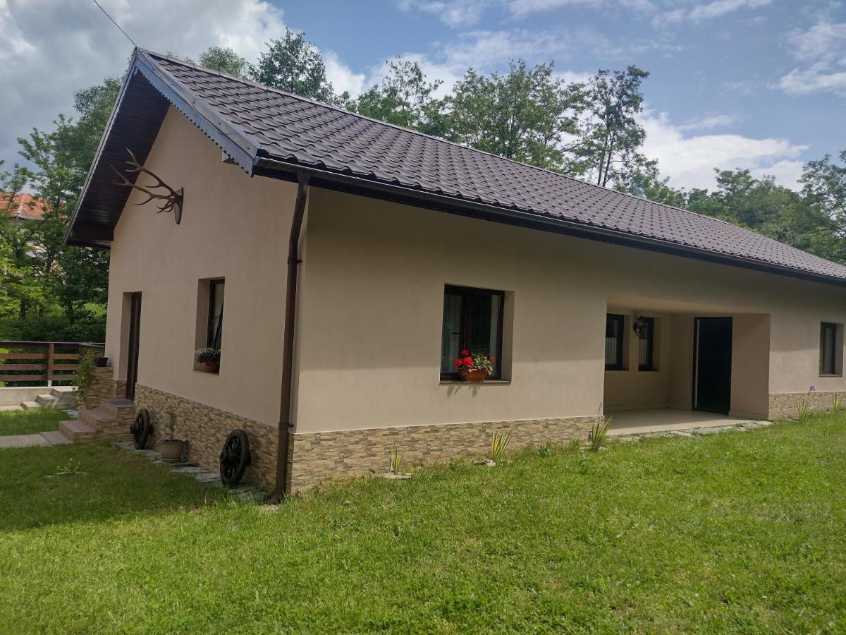Апартаменты Casa Radu Новач-Стрэйни Экстерьер фото