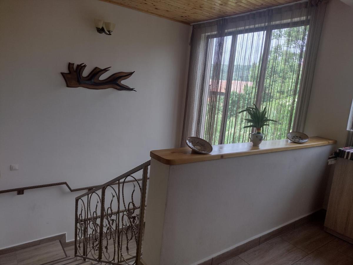 Апартаменты Casa Radu Новач-Стрэйни Экстерьер фото