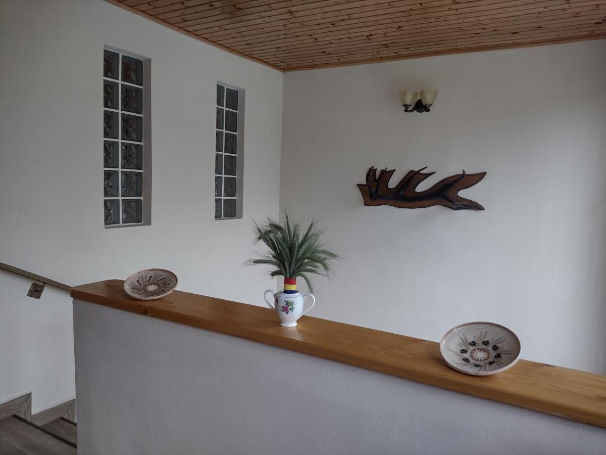 Апартаменты Casa Radu Новач-Стрэйни Экстерьер фото