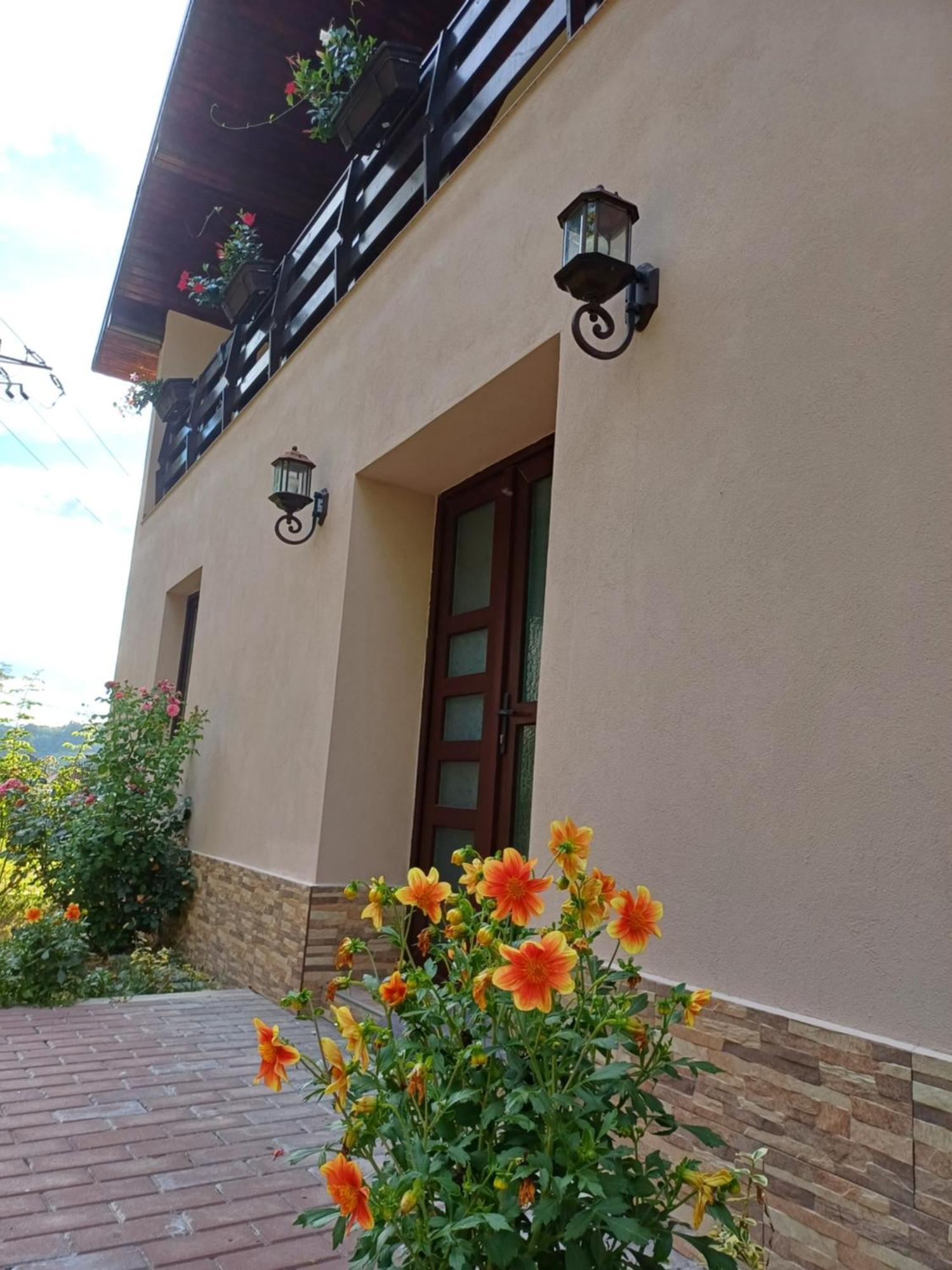 Апартаменты Casa Radu Новач-Стрэйни Экстерьер фото