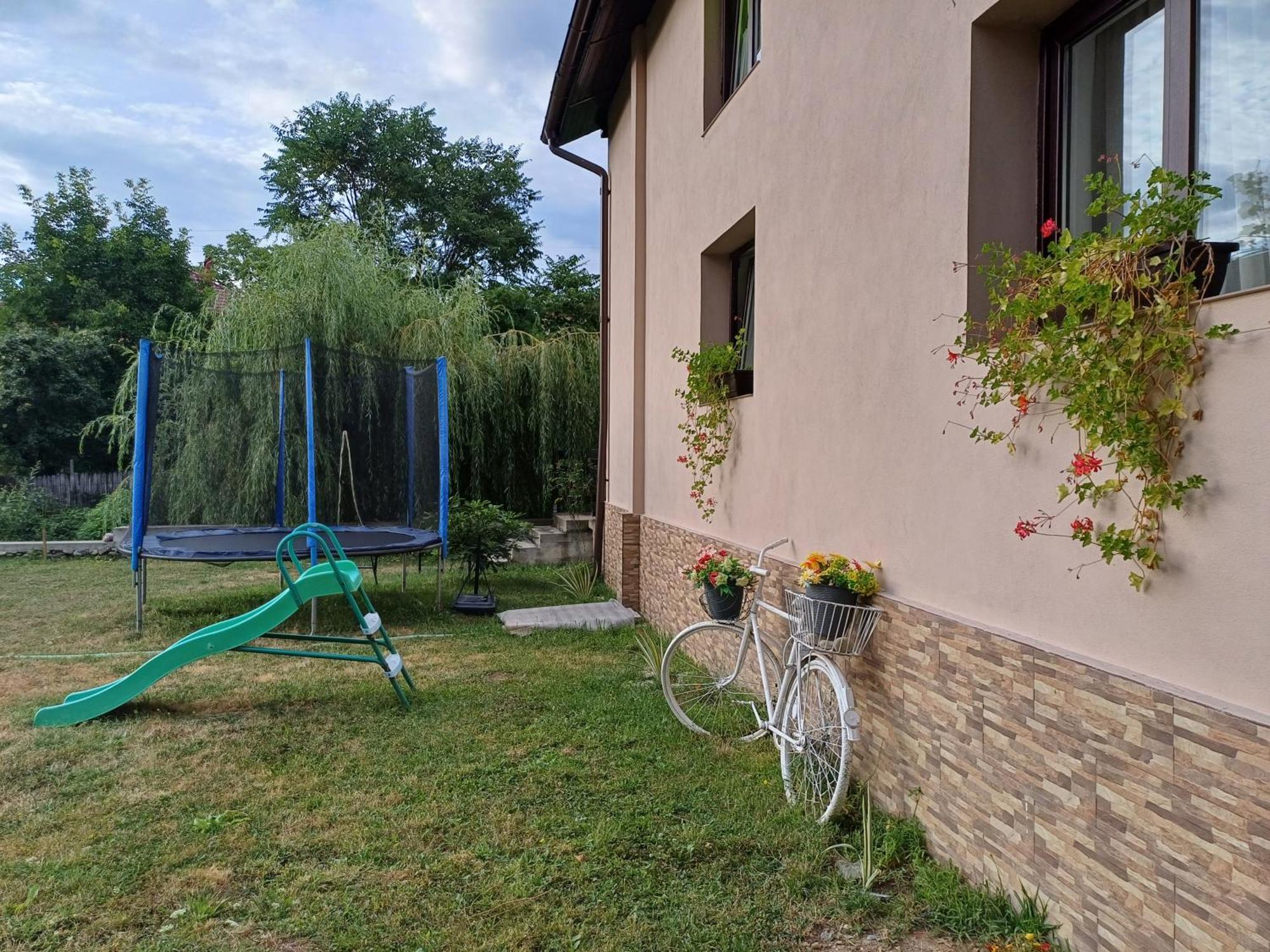 Апартаменты Casa Radu Новач-Стрэйни Экстерьер фото