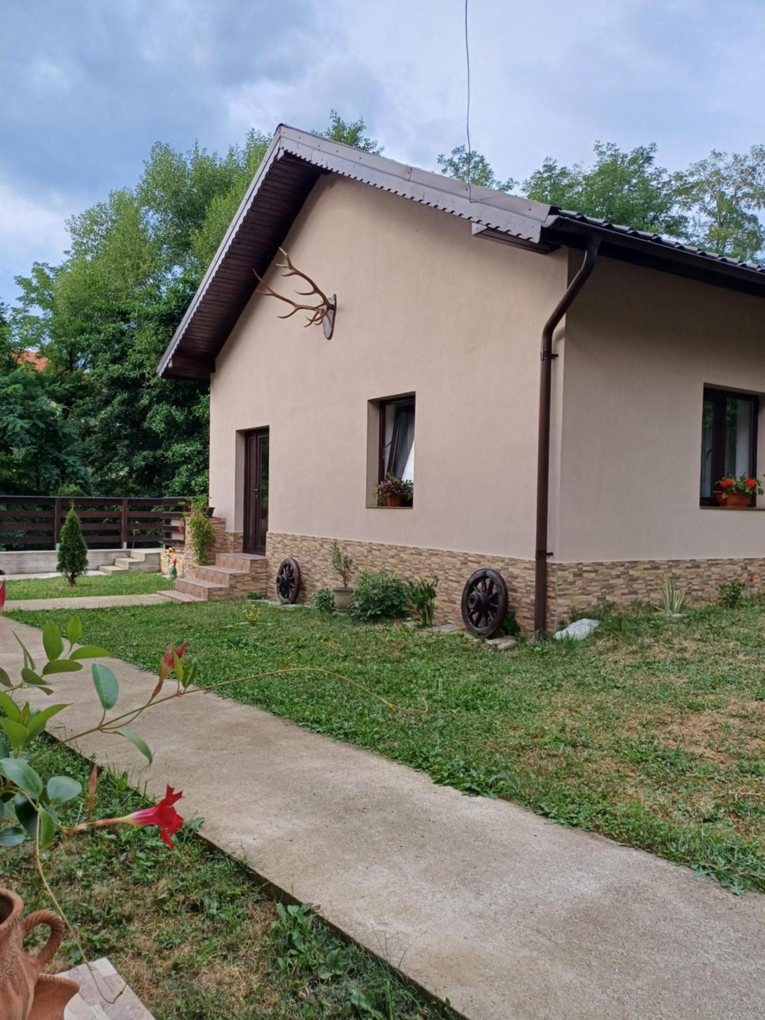 Апартаменты Casa Radu Новач-Стрэйни Экстерьер фото