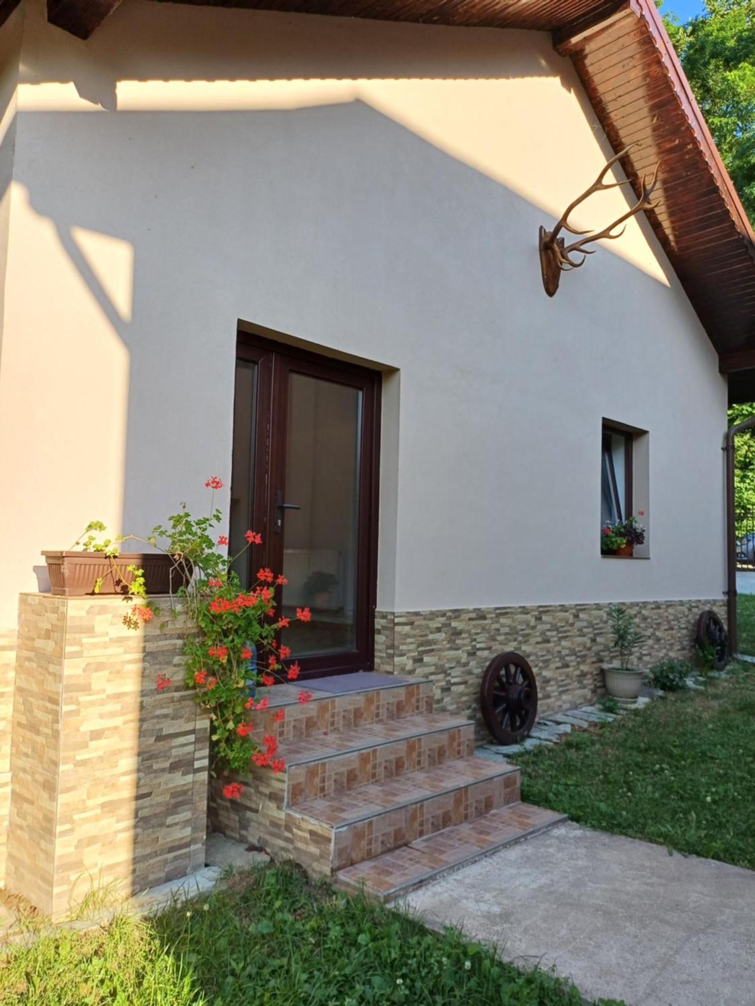 Апартаменты Casa Radu Новач-Стрэйни Экстерьер фото