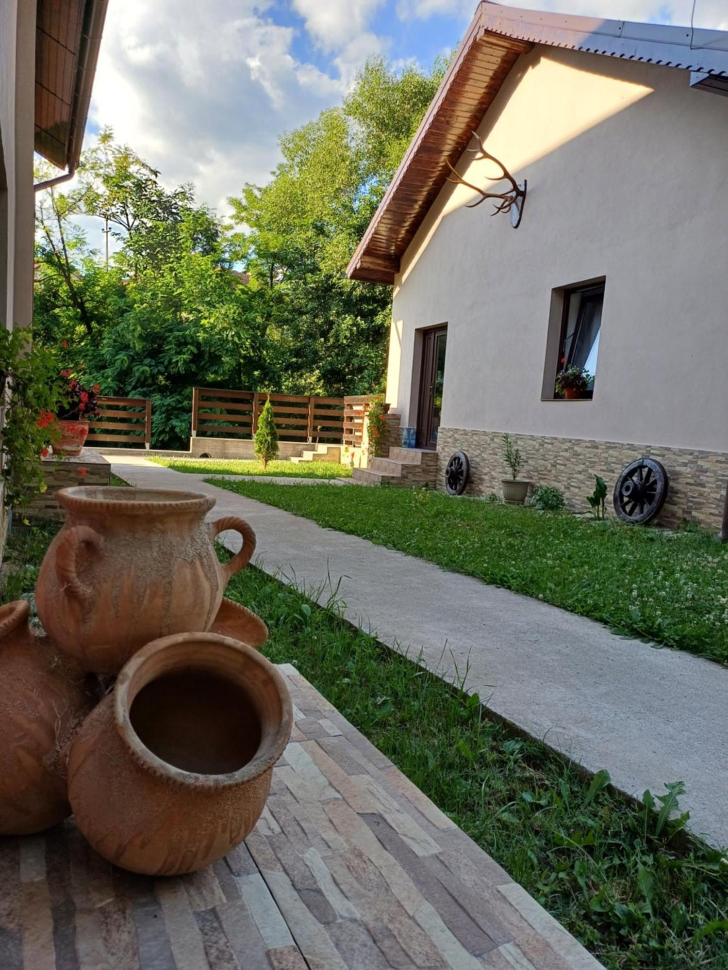 Апартаменты Casa Radu Новач-Стрэйни Экстерьер фото