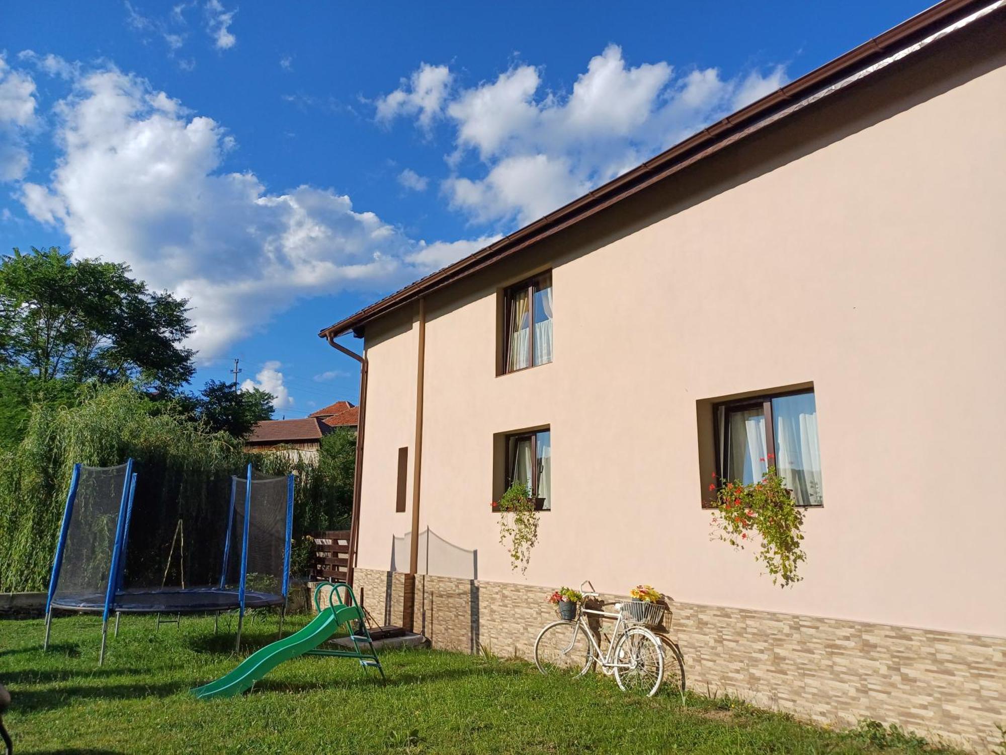 Апартаменты Casa Radu Новач-Стрэйни Экстерьер фото